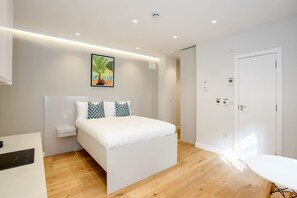 Lower Ground Floor Studio Apartment