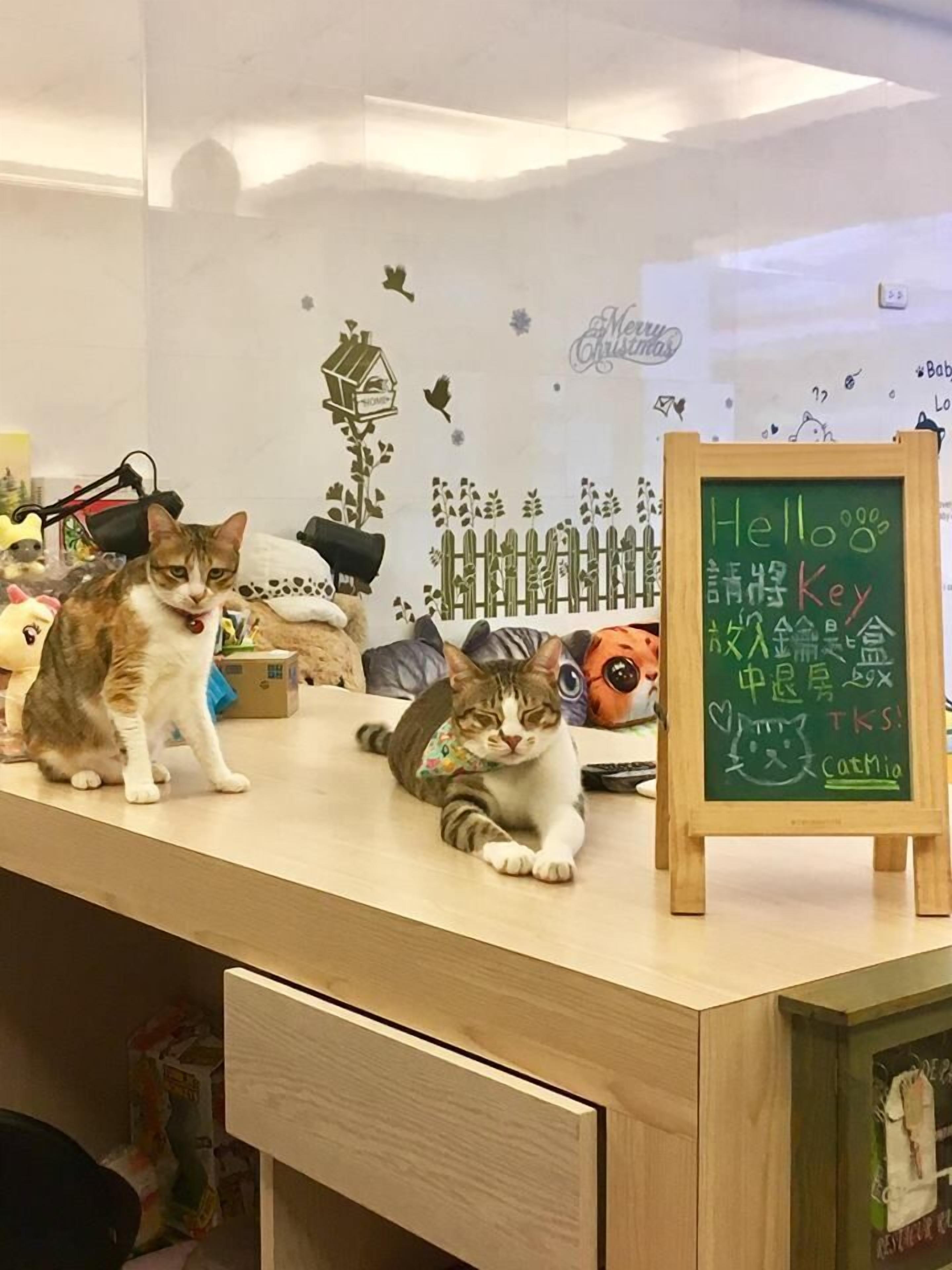 ร้านอาหาร