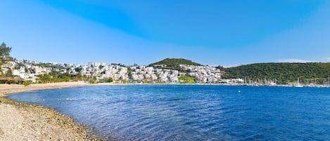海灘