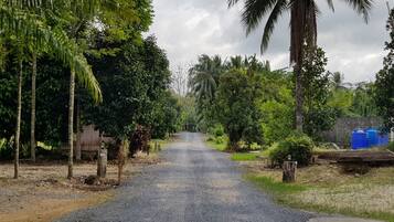 Khuôn viên nơi lưu trú