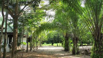 Khuôn viên nơi lưu trú