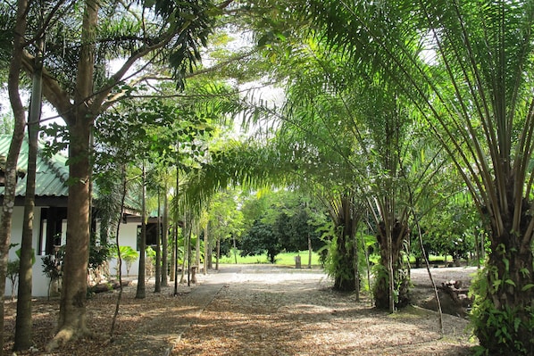 Property grounds - Nimit Bungalow (Thai Mueang)