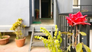 Una entrada residencial con una escalera de madera que lleva a una puerta, rodeada de macetas con plantas y una flor roja.