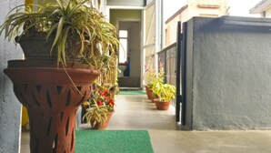 Un pasillo con plantas en macetas, alfombra verde y pared de concreto.