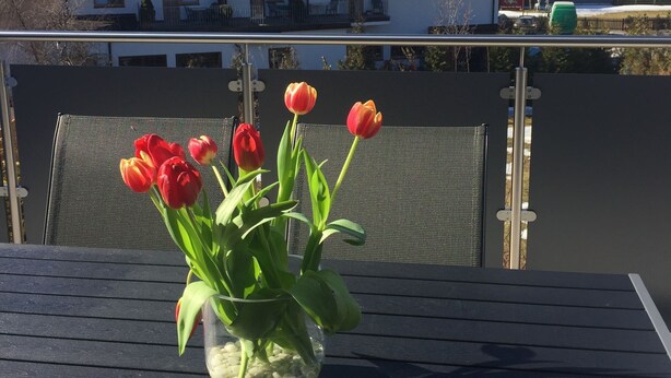 Uma mesa com um vaso de tulipas, uma cadeira e vista para montanhas nevadas e casas ao fundo.
