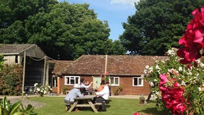 Garden - Byre Cottages and Cafe Museum (Pulborough)