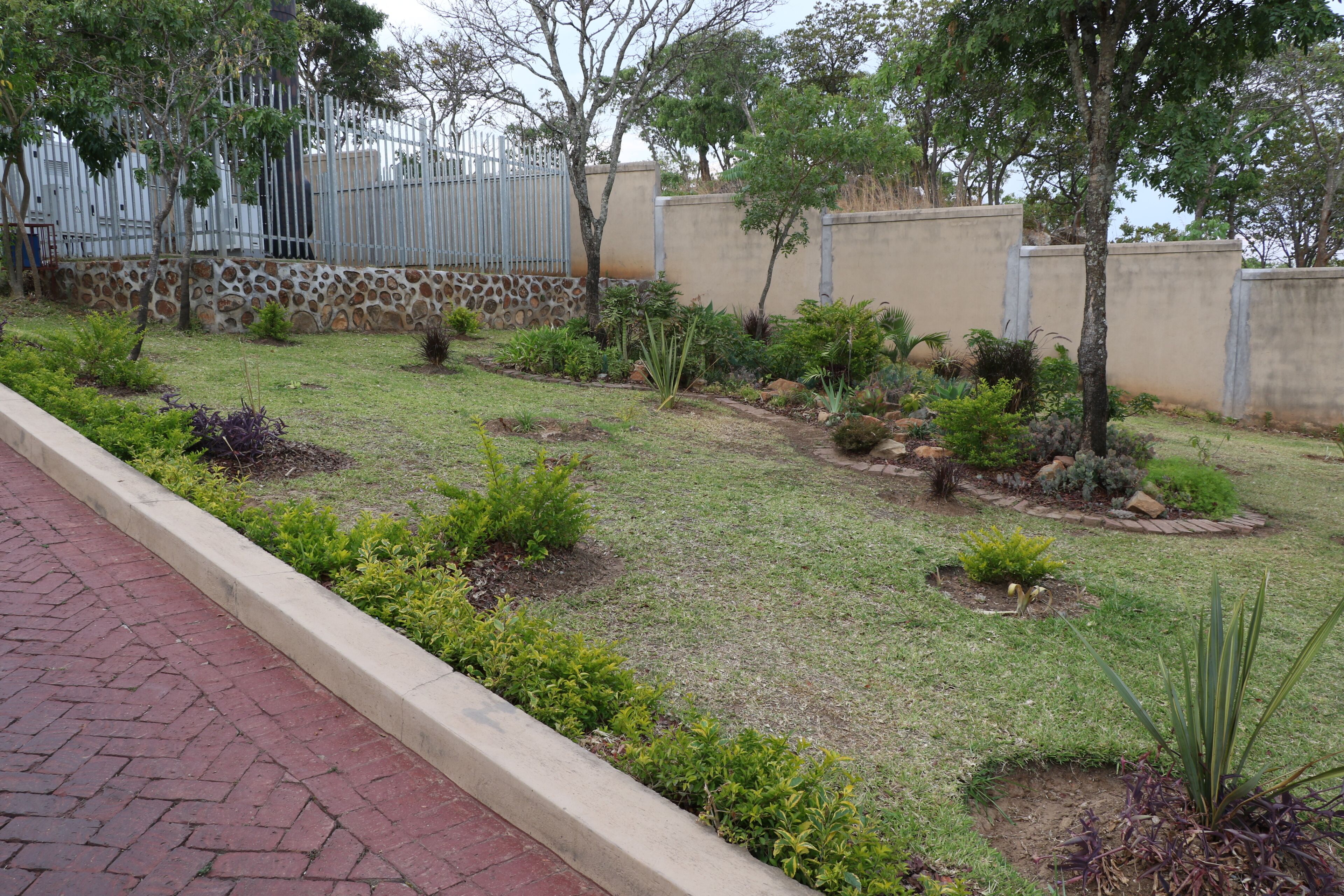 A landscaped garden with various plants and a paved walkway.