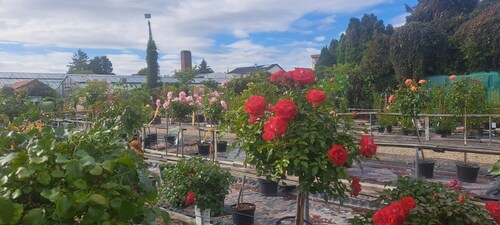 Apartment Osterstraße 123