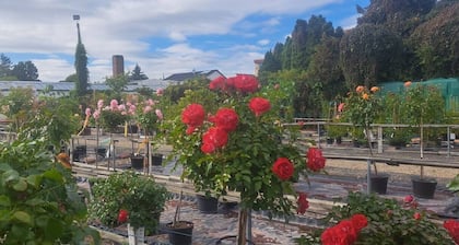 Apartment Osterstraße 123