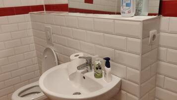 Apartment, 1 Bedroom | Bathroom | Shower, free toiletries, hair dryer