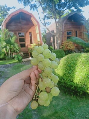 Property grounds - Ekas Garden Bungalow (Jerowaru)