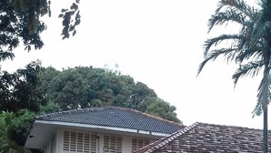 A traditional house with a tiled roof, a stone-paved entrance, and lush greenery around. - Panori Hotel (Tanga)