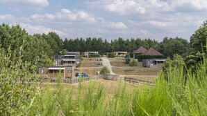 Zona residencial con casas modernas, un sendero de tierra y abundante vegetación.