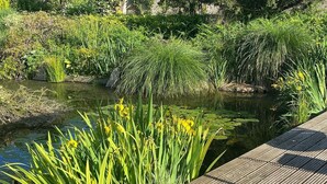 Eine Holterrasse mit Blick auf einen Teich und verschiedenen Pflanzen und gelben Blumen.