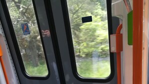 A train interior with a window view of greenery, a handrail, and a door. - Apartment Osterstraße 324 zwei (Hannover)