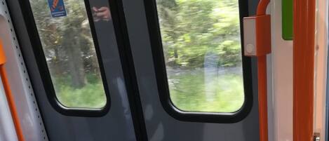 A train interior with a window view of greenery, a handrail, and a door.