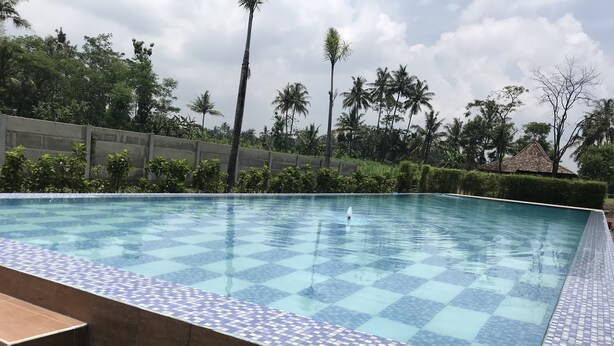 A swimming pool with a checkered tile pattern, surrounded by greenery and palm trees. - Hotel Popi Pondok Pisang (Ngaglik)