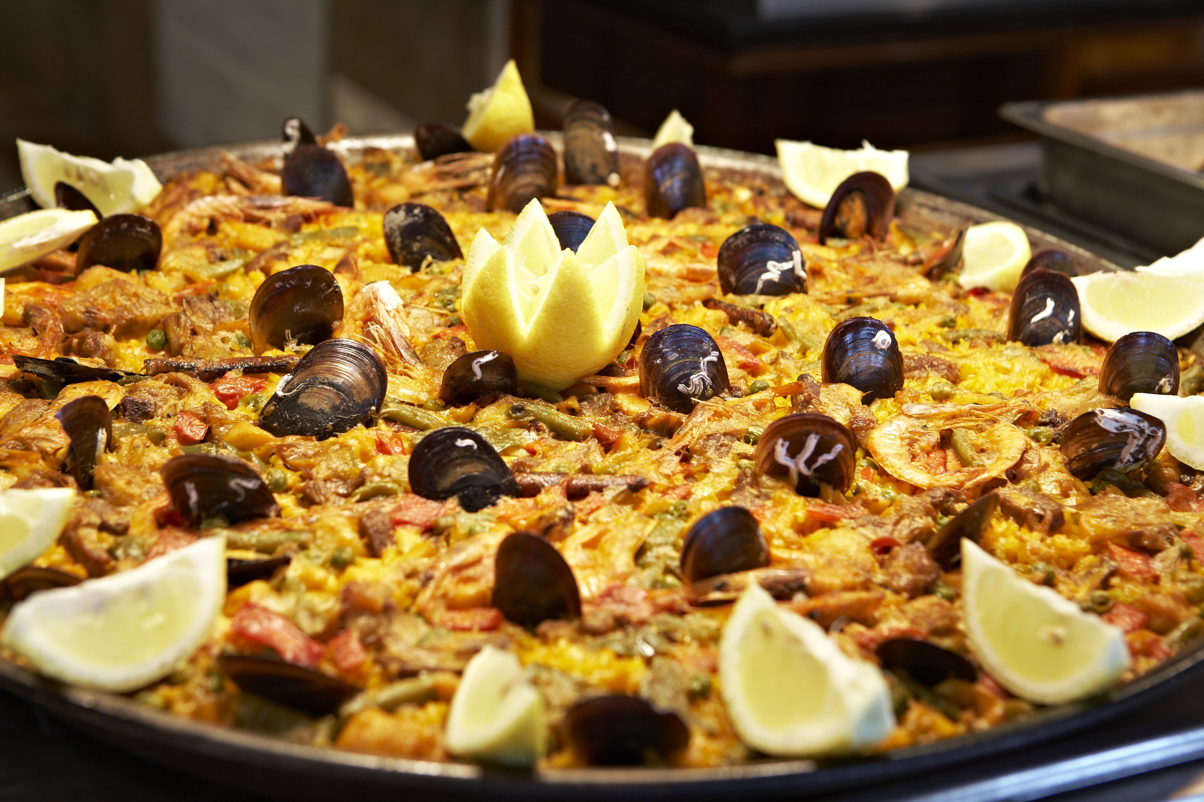 Foto - Universal Casa Marquesa