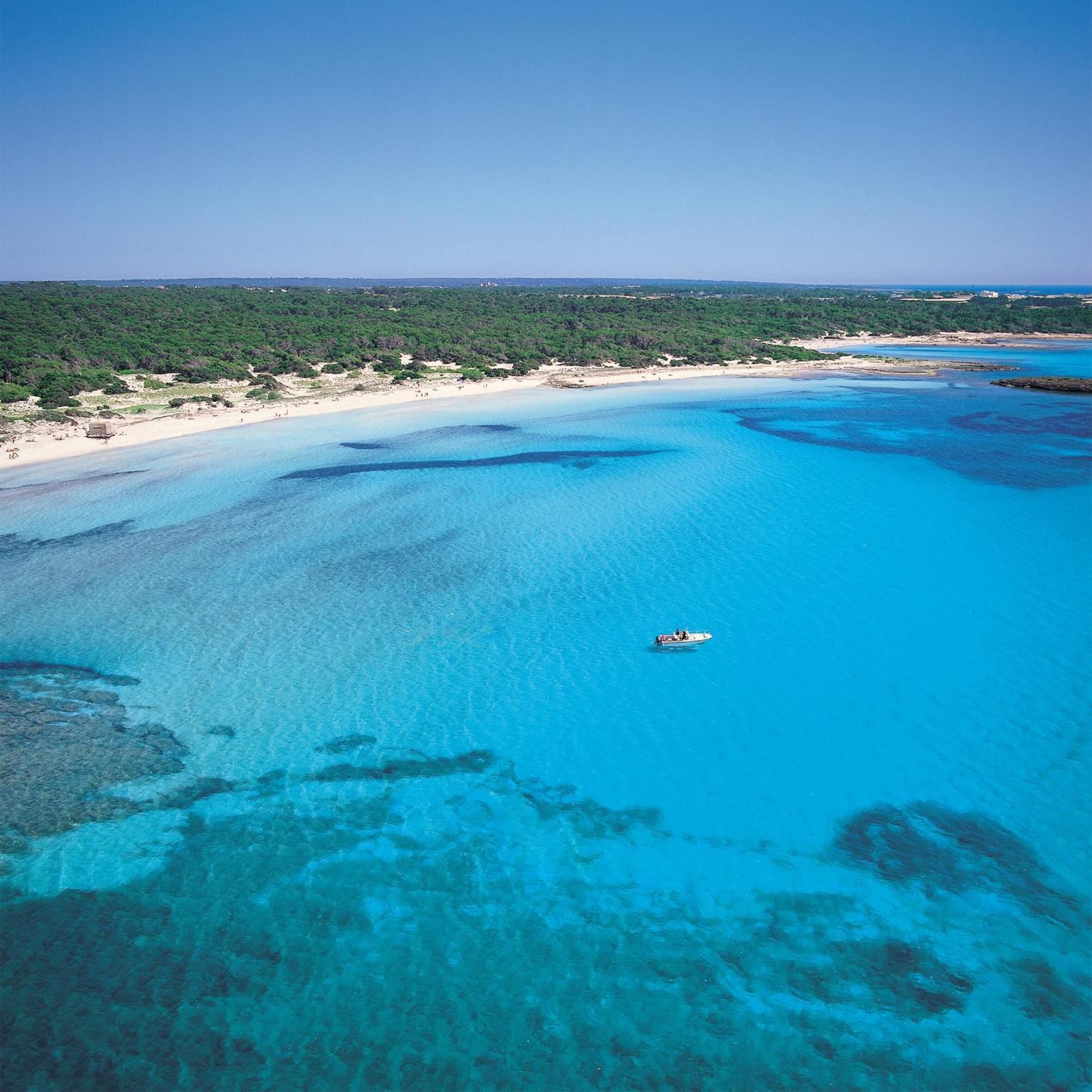 Foto - Universal Casa Marquesa