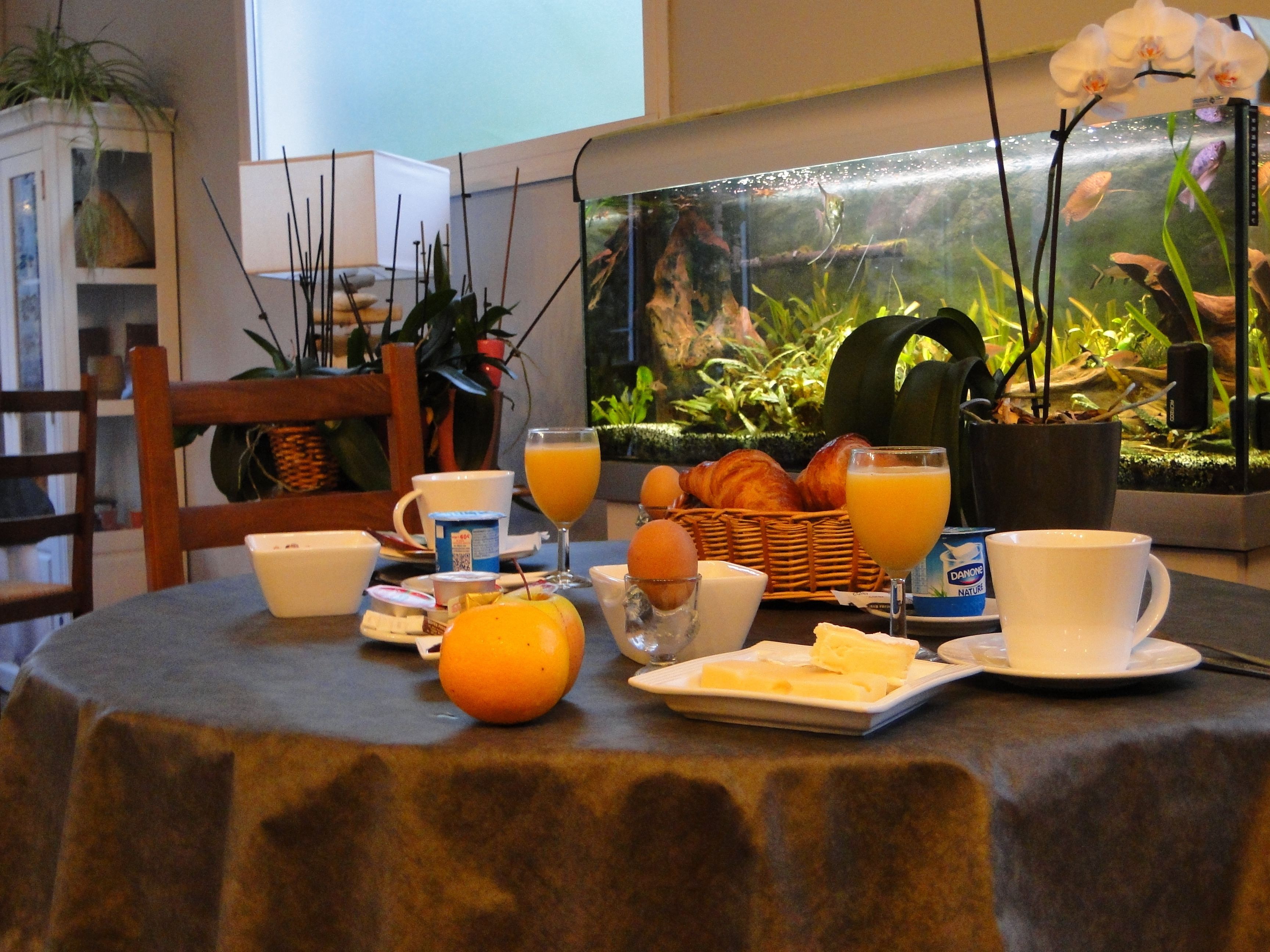 daily buffet breakfast (eur 11 per person)