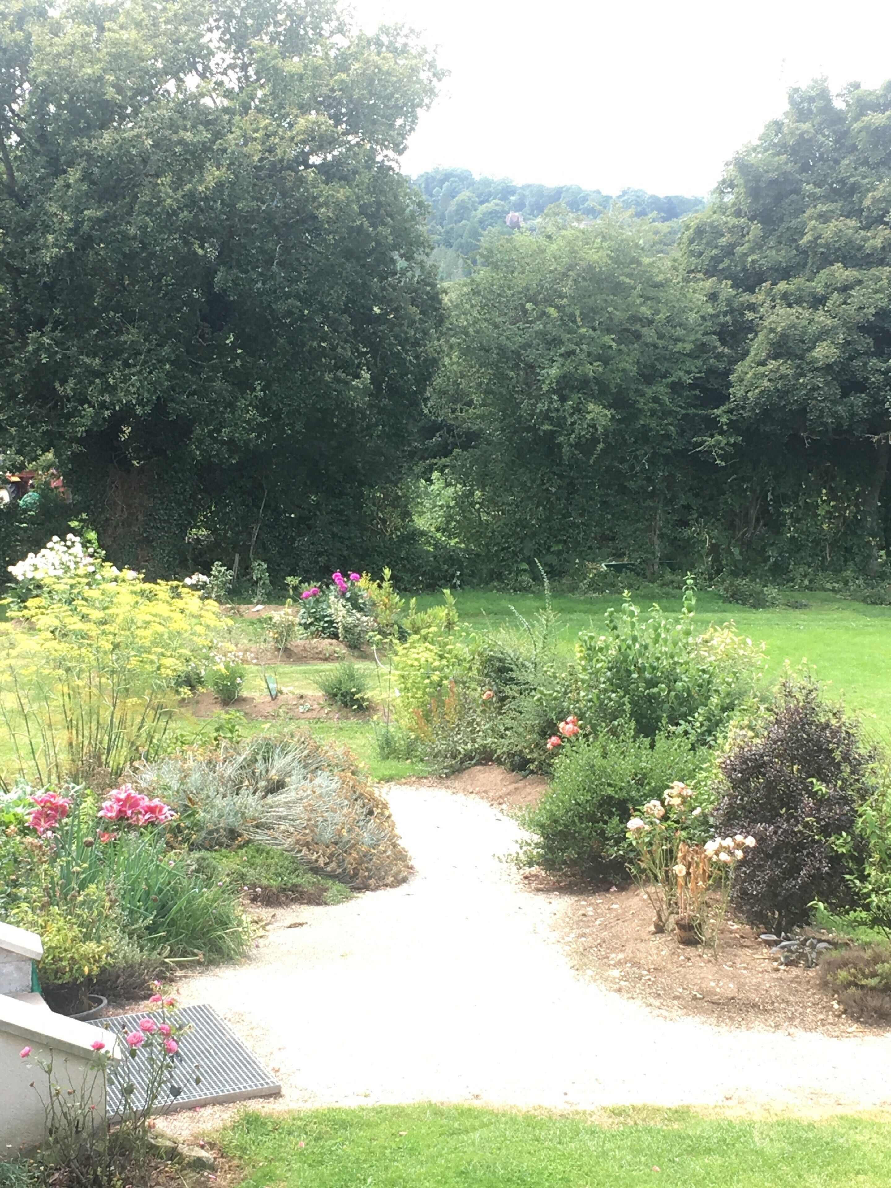 Un jardín con un sendero de grava, plantas variadas y árboles.