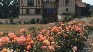 Uma casa em estilo Tudor, com telhado de pedra e estrutura de madeira, rodeada por um jardim com rosas floridas.