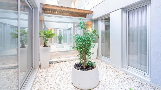 A modern indoor courtyard with potted plants, a wooden pergola, and a glass ceiling. - Serennia Fira Gran Vía Exclusive Rooms (L'Hospitalet de Llobregat)