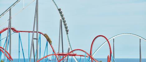 A roller coaster with multiple tracks and a coastal backdrop.
