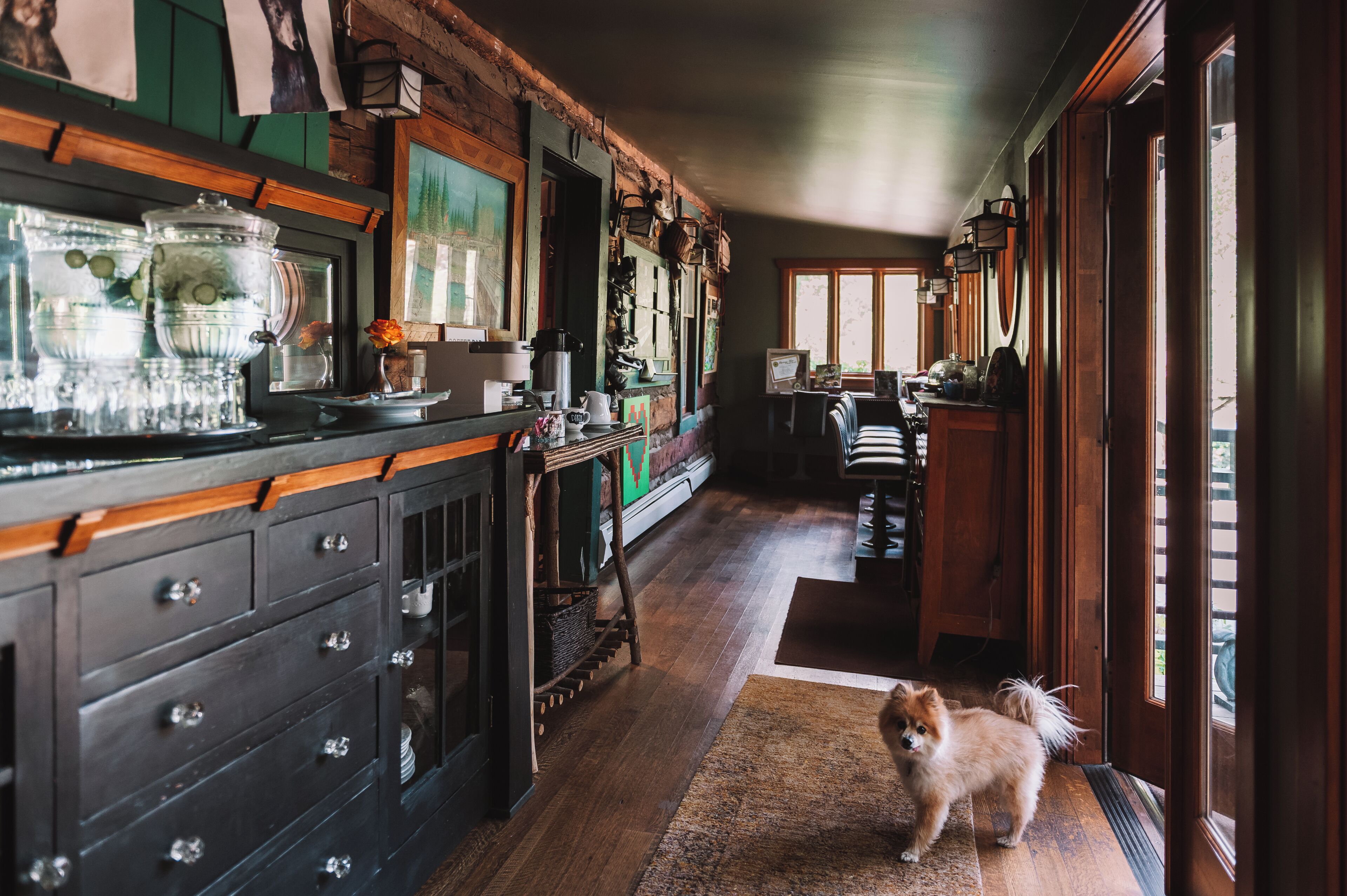 A kitchen with wooden cabinets, a coffee machine, and a dog standing near the entrance.