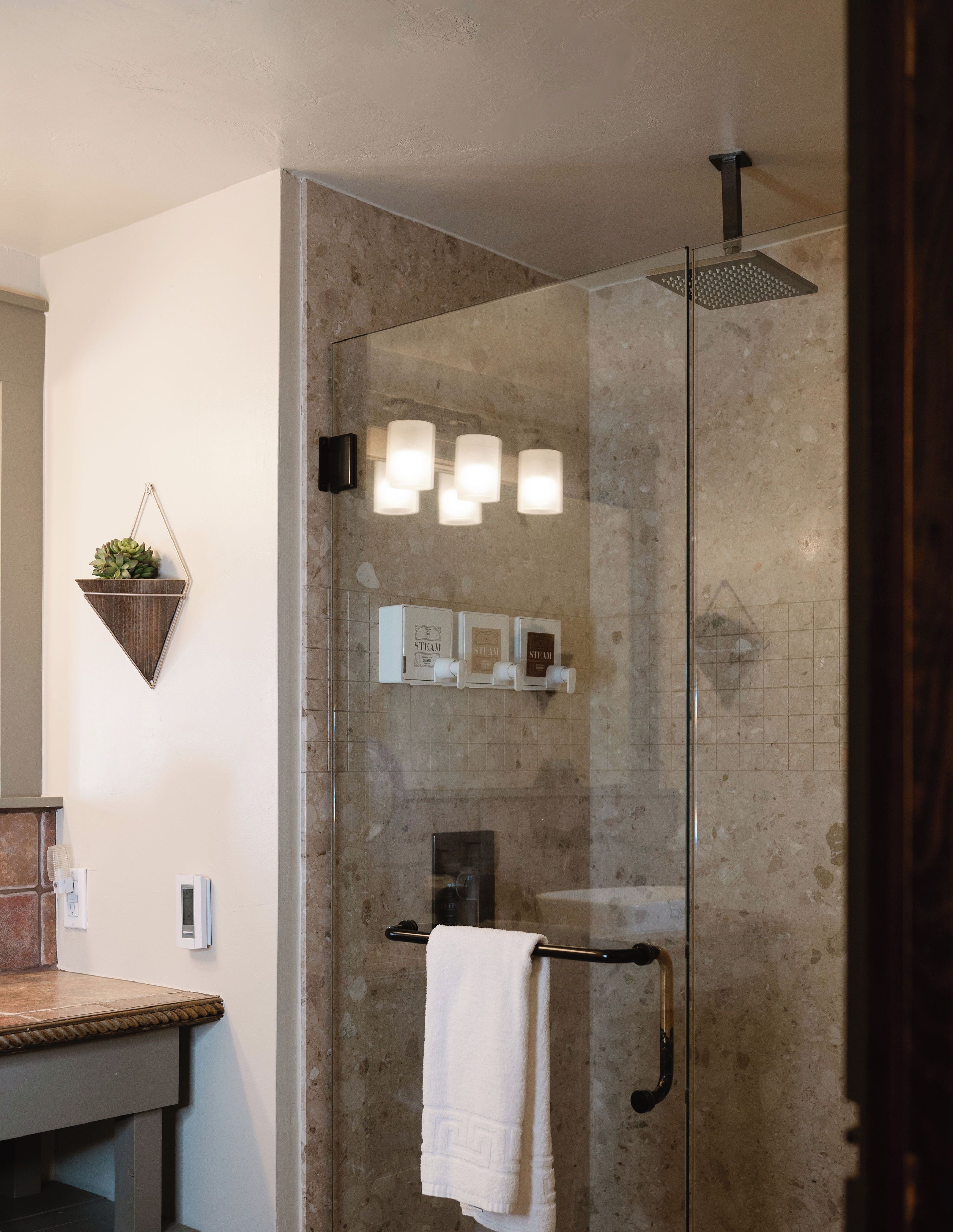 Un baño moderno con ducha de vidrio, un perchero y un estante en la pared con una planta.