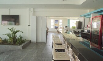 2 bares, 2 bares junto a la piscina y bar en la piscina
