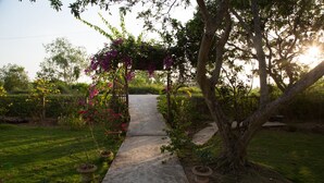 A garden pathway leading to a pergola with flowering plants. - Phuong Thao Homestay (An Binh)