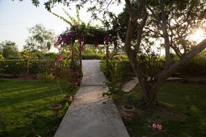 Property grounds - Phuong Thao Homestay (Long Ho)
