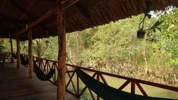 A wooden deck with hammocks and a railing overlooking a water body with dense greenery. - Phuong Thao Homestay (An Binh)