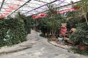 A greenhouse with a stone pathway, various potted plants, and hanging red lanterns. - Xinshuangquan Hostel (Beijing)
