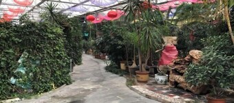 Xinshuangquan Hostel