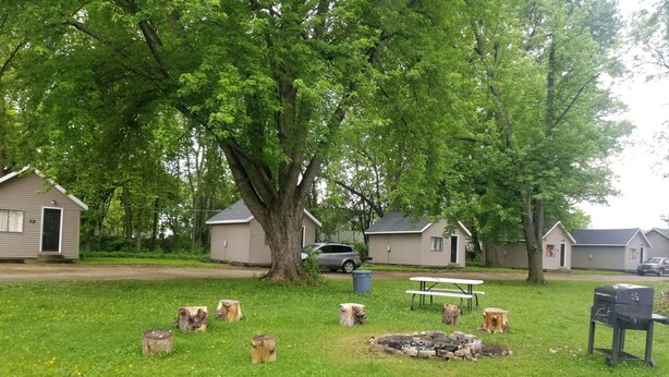 A campsite with a picnic table, a grill, and several wooden stumps. - Fiesta City Motel (Montevideo)