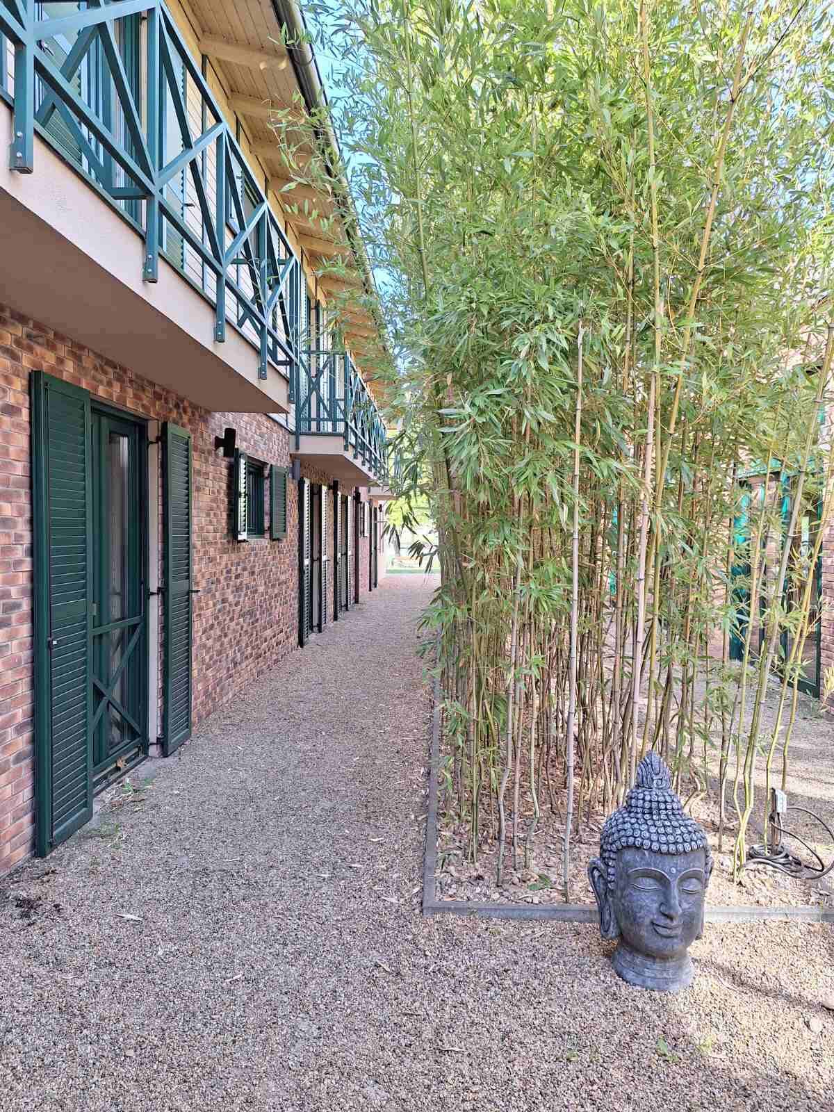 standard double room, 2 single beds, ground floor | view from room