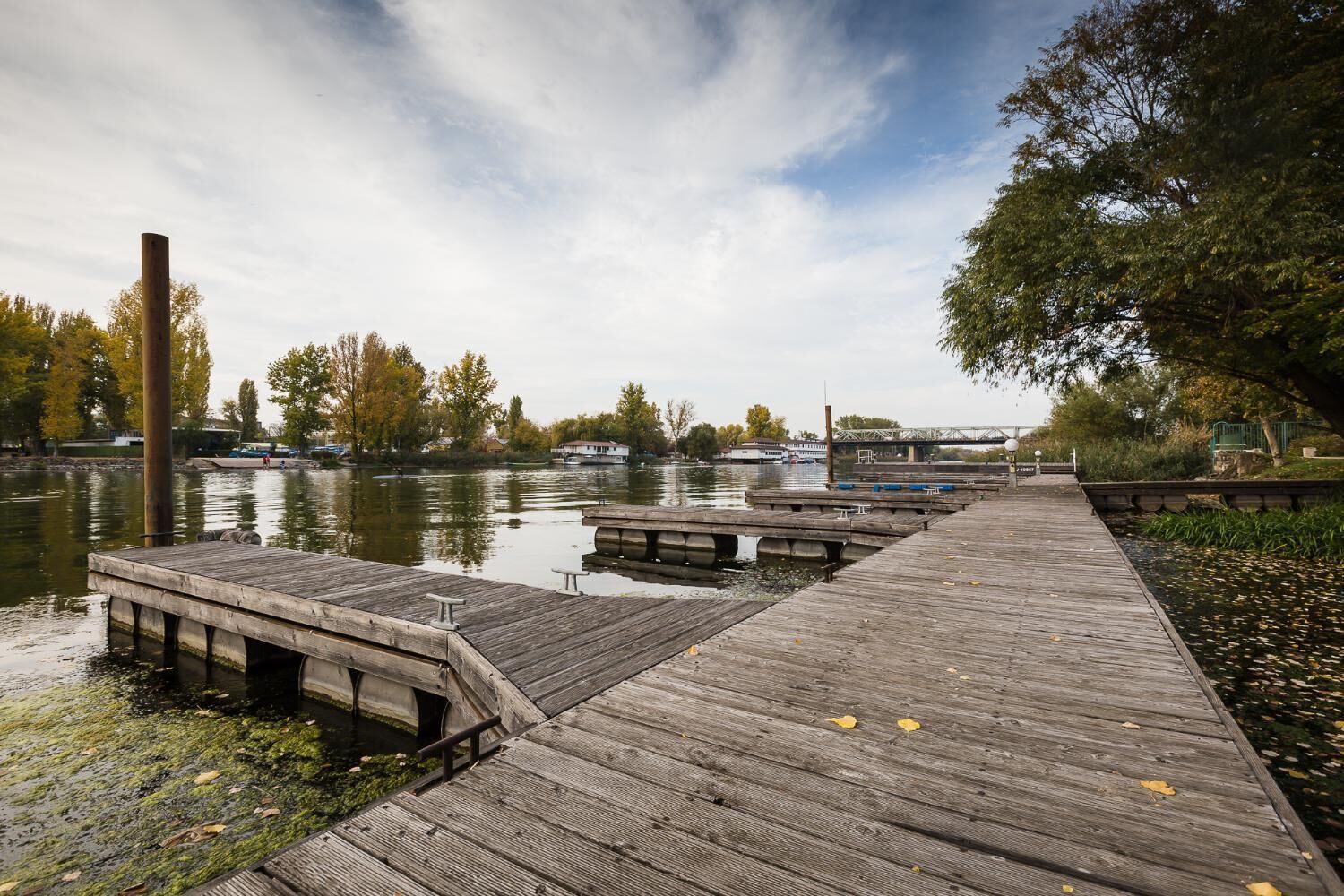 land view from property