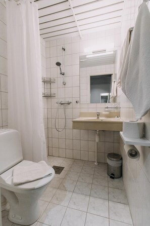 Un baño con inodoro, ducha, lavabo y espejo.