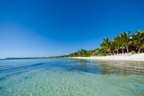 A beach with clear turquoise water, white sandy shore, and palm trees. - Tulum Luxury Collection (Tulum)