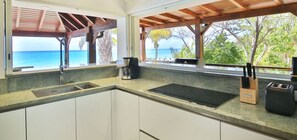 Stovetop, dishwasher, cookware/dishes/utensils