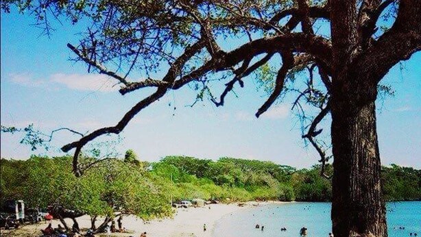 A beach with a large tree in the foreground, clear blue water, and people swimming. - Hermosa Quinta en Costa Pájaros (Manzanillo)
