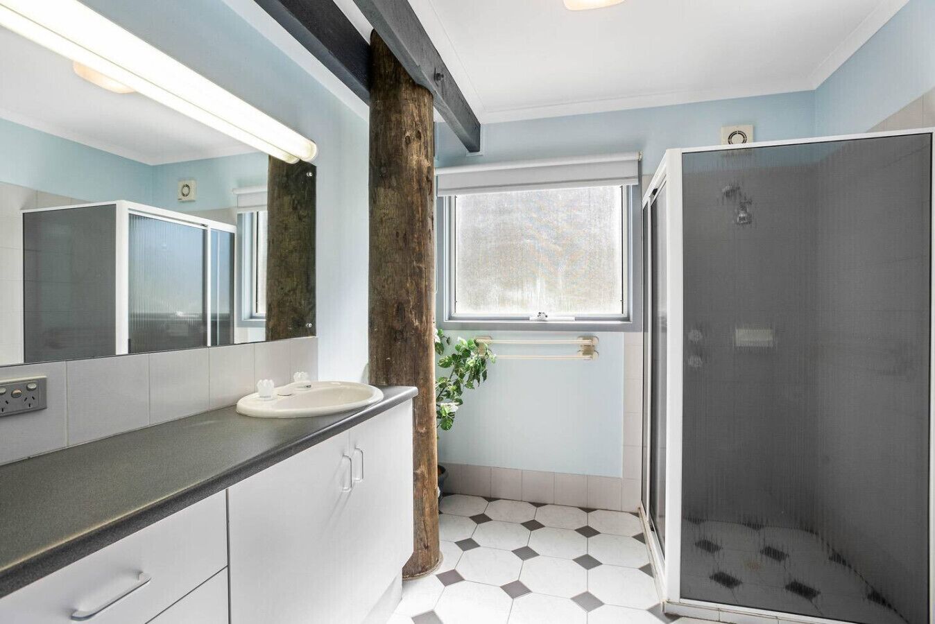 A bathroom with a white sink, a mirror, a shower, and a window.