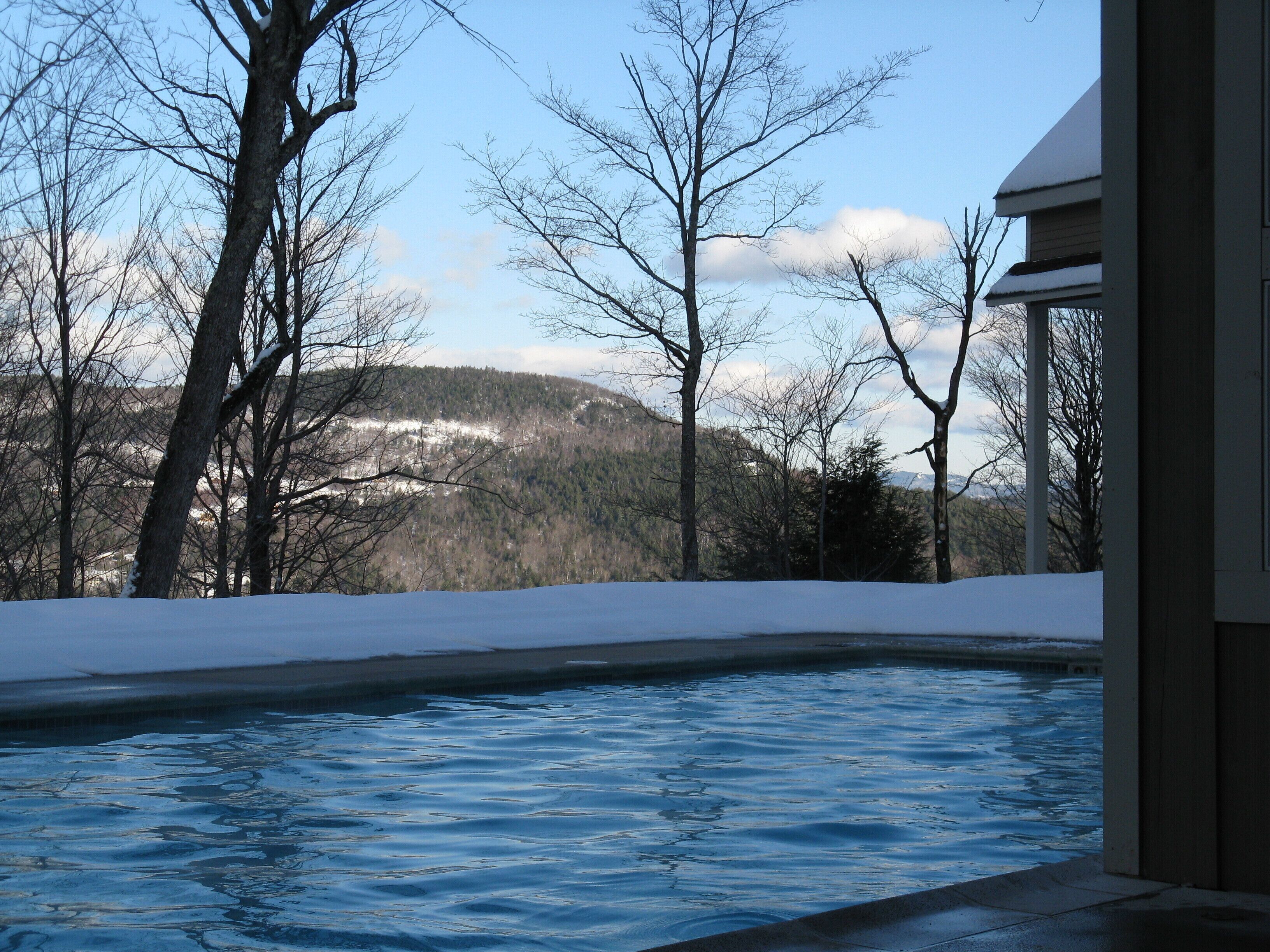 A swimming pool with a view of a snowy landscape and trees.