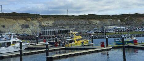 Marina/club náutico