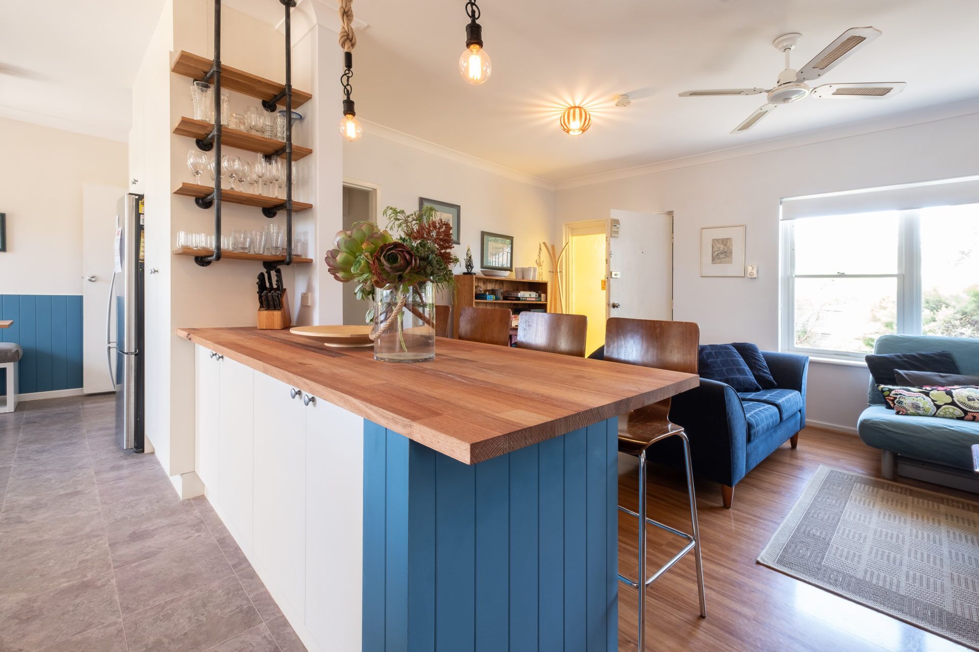 Pet Friendly and a Wander to Middleton Point