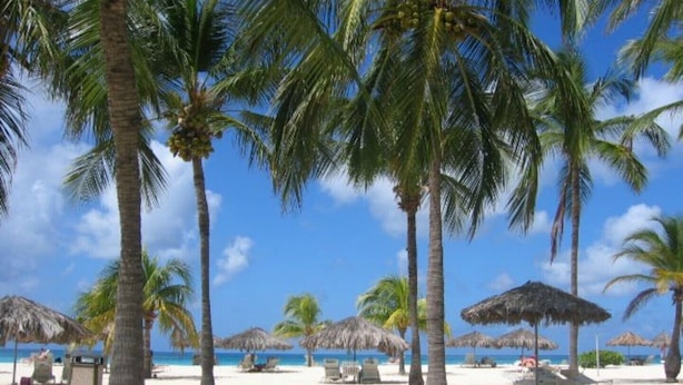 A beach with palm trees and thatched umbrellas. - Spacious Gold Coast Townhouse in lush community close to beaches (Noord)