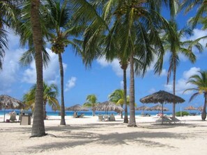 A beach with palm trees and thatched umbrellas.