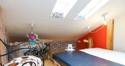 AROUND THE WORLD HOUSE. Unique, cosy, 2-level, pet friendly apartment at Dorcol